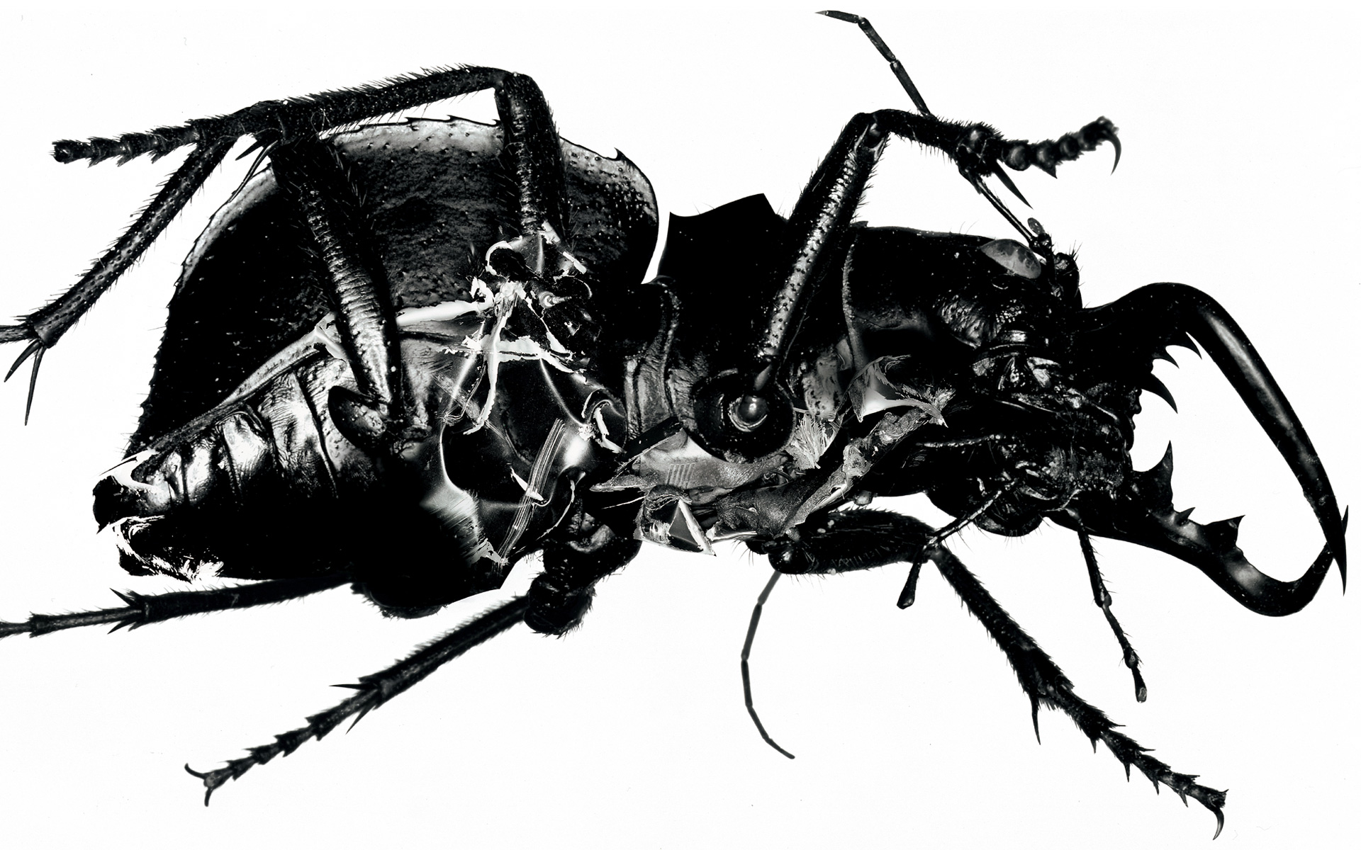 Massive Attack's Mezzanine Album 20 Years On